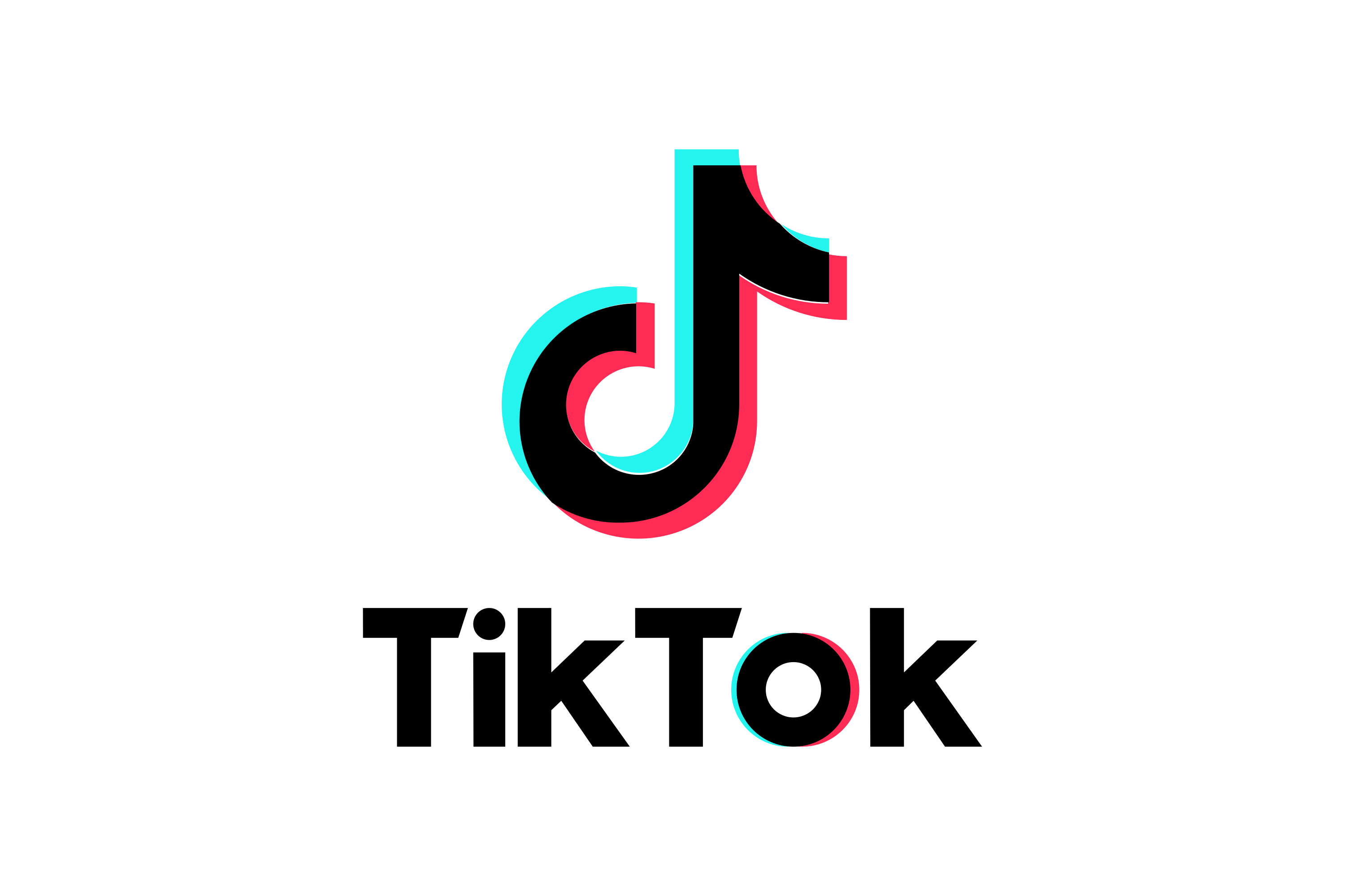 TikTok Partner Logo